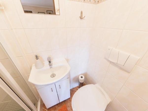 Pension Lukas : photo 5 de la chambre chambre double avec douche #8