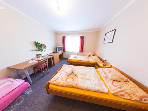 Pension Lukas : photo 1 de la chambre chambre triple avec douche #3