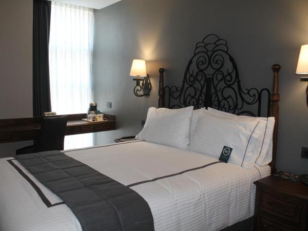 Zocalo Central & Rooftop Mexico City : photo 3 de la chambre chambre standard lit queen-size