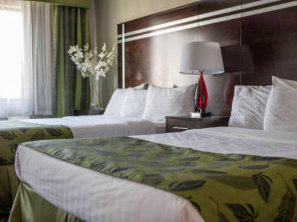 Motel Capri : photo 1 de la chambre chambre standard avec 2 lits queen-size