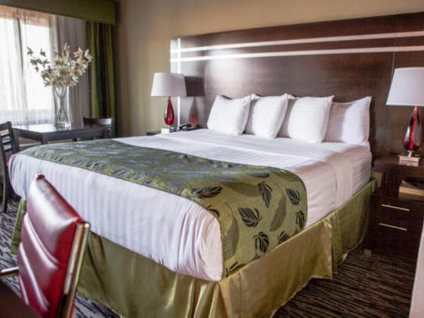 Motel Capri : photo 2 de la chambre chambre lit king-size standard