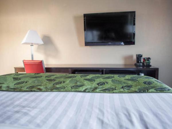 Motel Capri : photo 5 de la chambre chambre standard lit queen-size