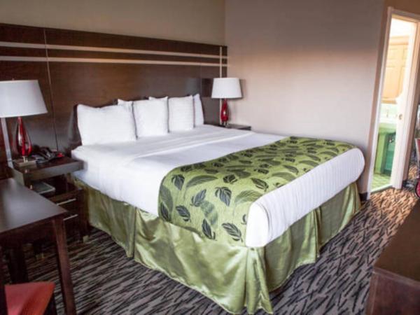 Motel Capri : photo 4 de la chambre chambre standard lit queen-size