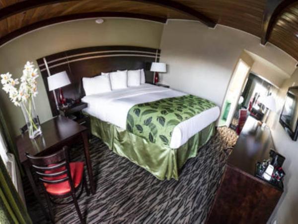 Motel Capri : photo 5 de la chambre chambre standard lit queen-size