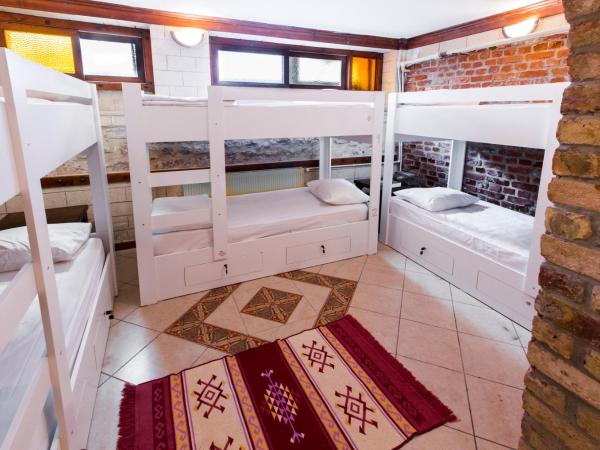 Cheers Vintage Hostel : photo 4 de la chambre lit dans dortoir mixte de 8 lits