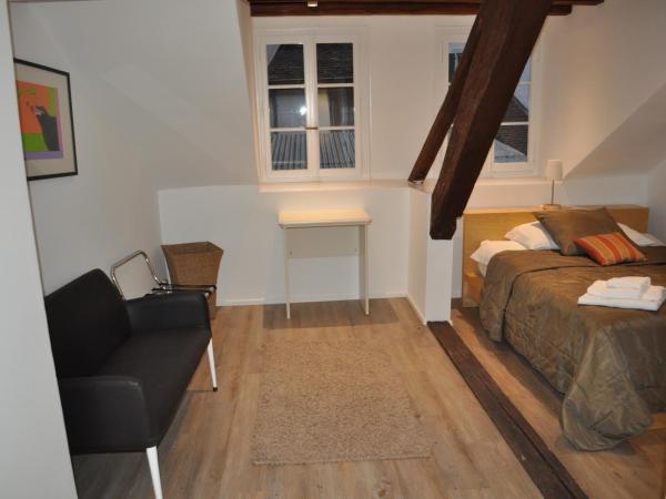 Hôtel du Raisin : photo 3 de la chambre studio