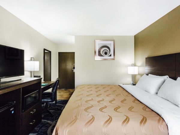 Quality Inn Downtown : photo 4 de la chambre chambre lit king-size - non-fumeurs
