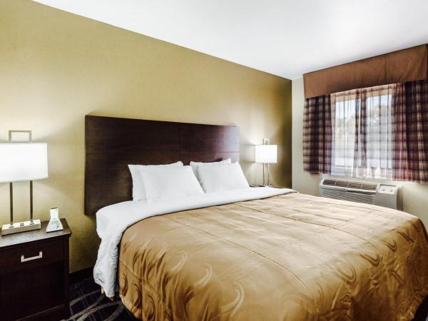 Quality Inn Downtown : photo 1 de la chambre chambre lit queen-size