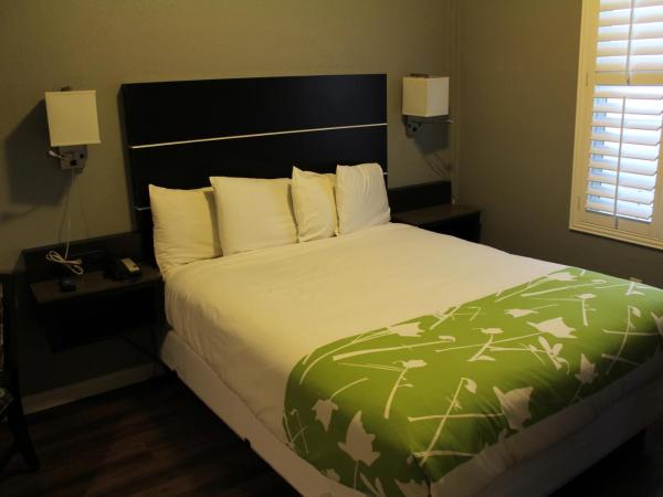 Layne Hotel : photo 6 de la chambre chambre lit queen-size 