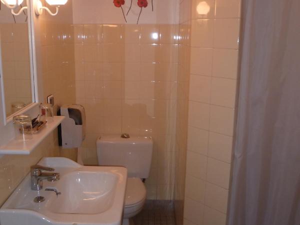 Hôtel La Résidence : photo 4 de la chambre chambre double avec douche