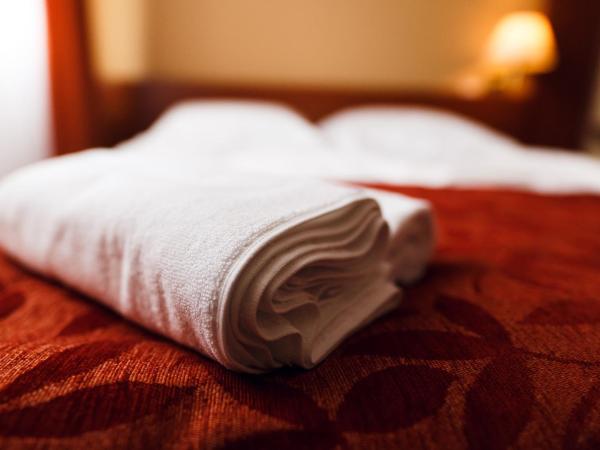 Villa Plaza : photo 5 de la chambre chambre simple standard