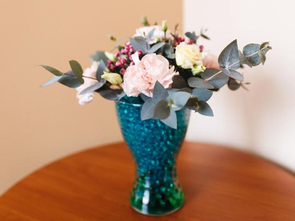 Villa Plaza : photo 2 de la chambre chambre simple standard