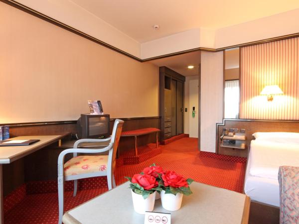 Hotel Monopol Luzern : photo 1 de la chambre chambre simple