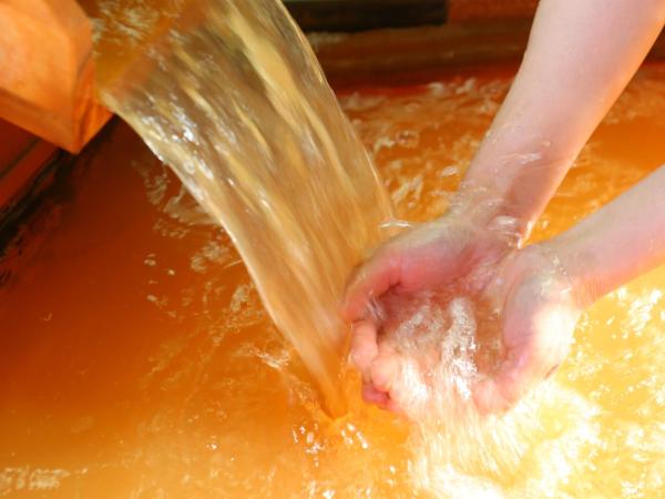 Motoyu Kosenkaku : photo 2 de la chambre chambre supérieure de style japonais - petit-déjeuner et dîner inclus