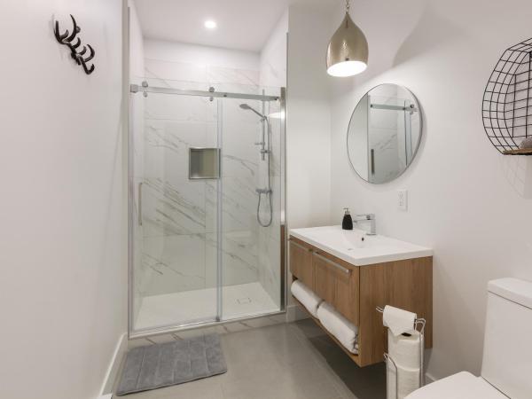 Les Lofts Ste-Anne : photo 1 de la chambre loft décloisonné 2 personnes - 102