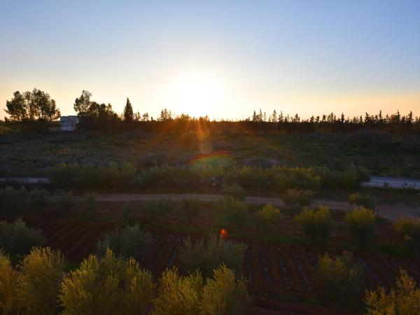 Maison d'hôtes La Ferme AZIZA : photo 1 de la chambre chambre double deluxe (2 adultes + 1 enfant)