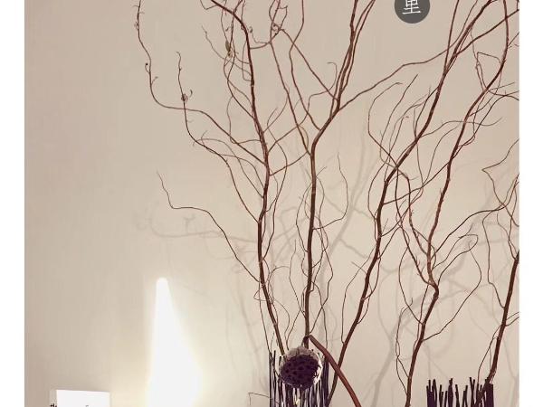 Suzhou Houlishenghuo Guesthouse : photo 8 de la chambre chambre supérieure lit queen-size