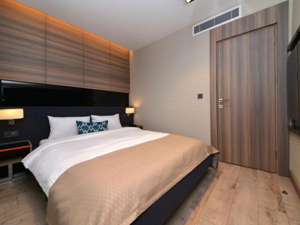 Nish Palace Exlusive Suites : photo 10 de la chambre hébergement de luxe avec cuisine