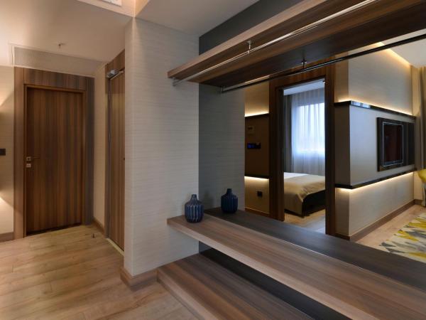 Nish Palace Exlusive Suites : photo 6 de la chambre hébergement de luxe avec cuisine