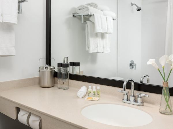 Studio Allston Hotel Boston : photo 5 de la chambre chambre lit king-size standard