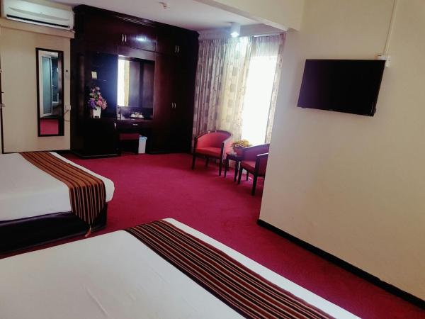 Palace Hotel : photo 8 de la chambre chambre familiale