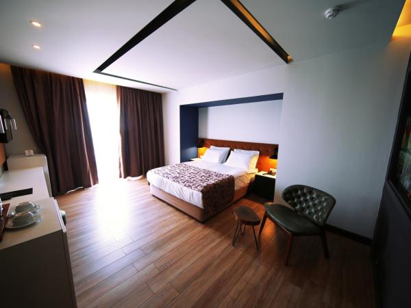 Sey Beach Hotel & Spa : photo 2 de la chambre chambre double standard