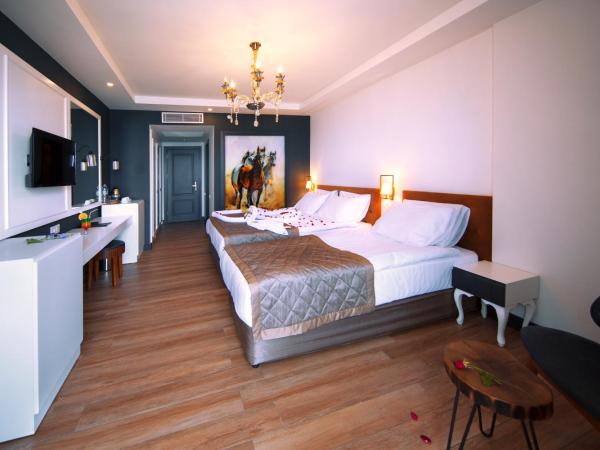 Sey Beach Hotel & Spa : photo 6 de la chambre chambre triple