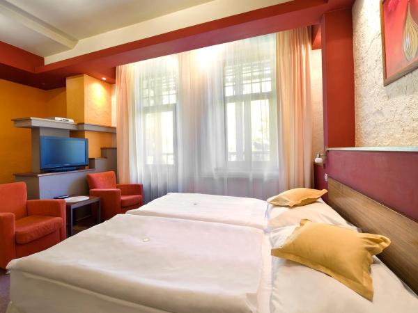 Spa & Wellness Hotel St. Moritz : photo 2 de la chambre chambre double standard