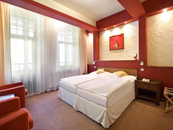 Spa & Wellness Hotel St. Moritz : photo 6 de la chambre chambre double standard