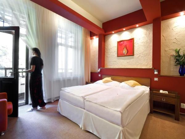 Spa & Wellness Hotel St. Moritz : photo 8 de la chambre chambre double standard