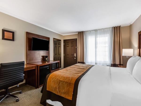 Comfort Inn Santa Monica - West Los Angeles : photo 2 de la chambre chambre lit king-size standard - non-fumeurs