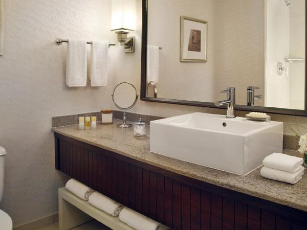 Hyatt Regency Saint Louis at The Arch : photo 5 de la chambre chambre lit king-size deluxe avec vue