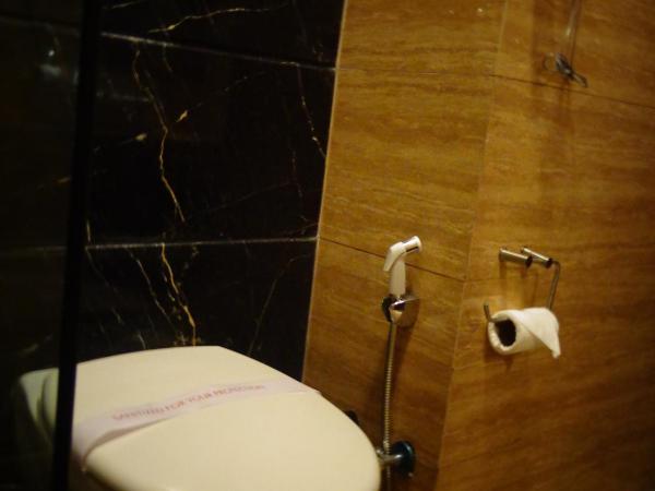 Hotel Aura - New Delhi Railway Station : photo 5 de la chambre executive room with bathtub