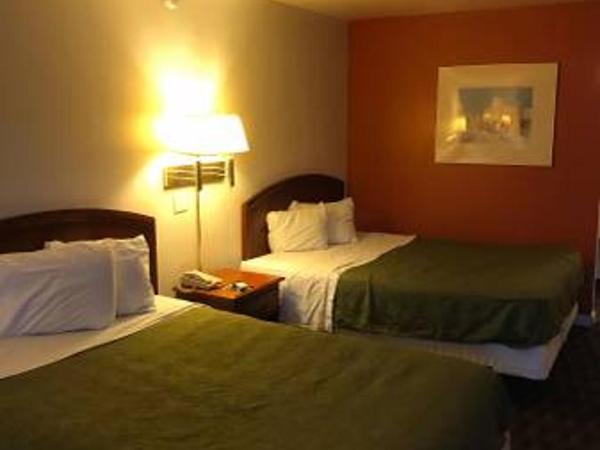 Extend-a-Suites Phoenix : photo 1 de la chambre chambre standard avec 2 lits queen-size