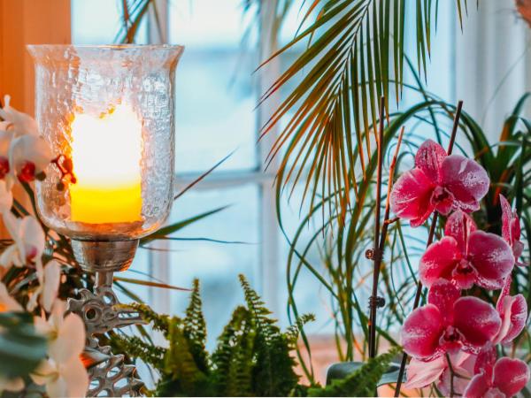 Star of the Sea B&B : photo 5 de la chambre chambre double deluxe - vue sur mer