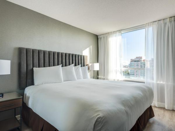 Carmana Hotel & Suites : photo 2 de la chambre suite 1 chambre lit king-size