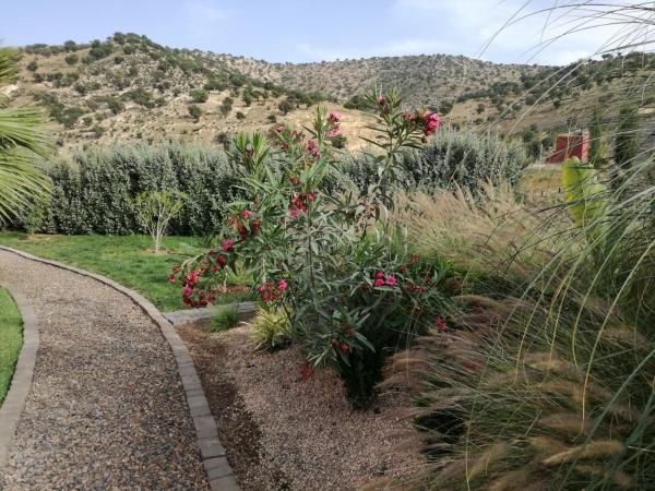 Riad Asmaa Agadir : photo 4 de la chambre villa avec piscine privée