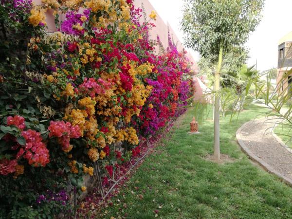 Riad Asmaa Agadir : photo 5 de la chambre villa avec piscine privée
