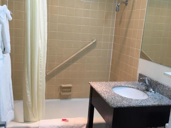 Econo Lodge Downtown : photo 8 de la chambre chambre lit queen-size avec 1 lit queen-size et 1 lit double