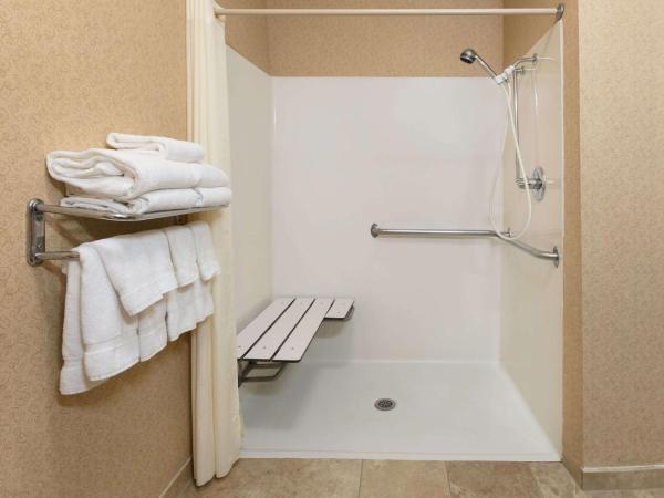 Baymont by Wyndham Oklahoma City/Quail Springs : photo 4 de la chambre chambre lit king-size pour personnes à mobilité réduite - non-fumeurs