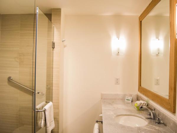 Holiday Inn Hotel & Suites Centro Historico, an IHG Hotel : photo 2 de la chambre chambre standard