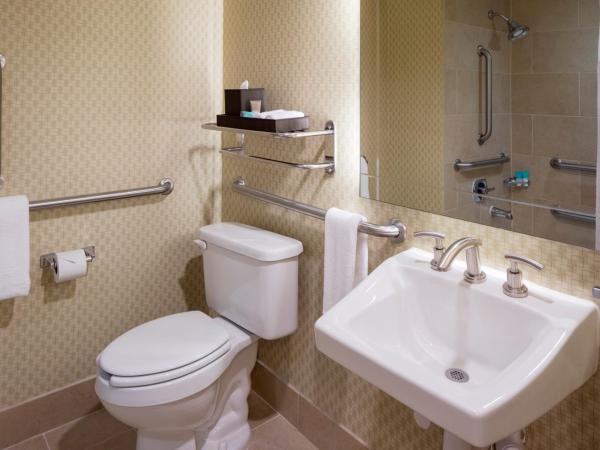 Hyatt Regency Houston Intercontinental Airport : photo 4 de la chambre chambre lit king-size avec baignoire accessible aux personnes à mobilité réduite