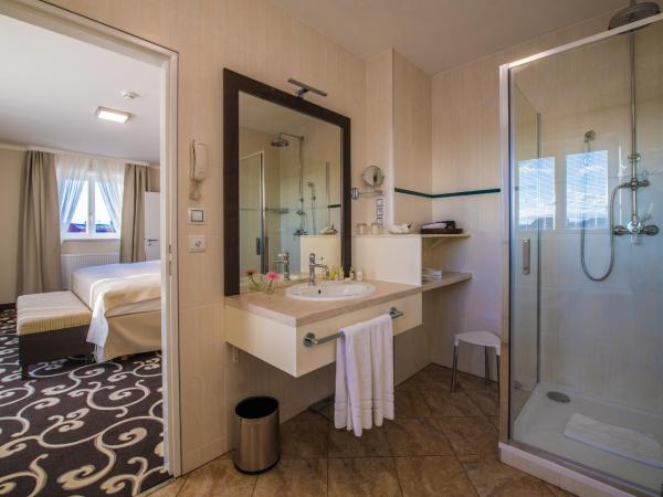 Grand Hotel Bohemia : photo 4 de la chambre grande suite avec terrasse