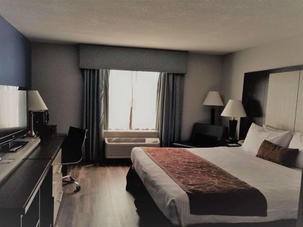 Wyndham Garden Hotel - Jacksonville : photo 2 de la chambre chambre lit king-size