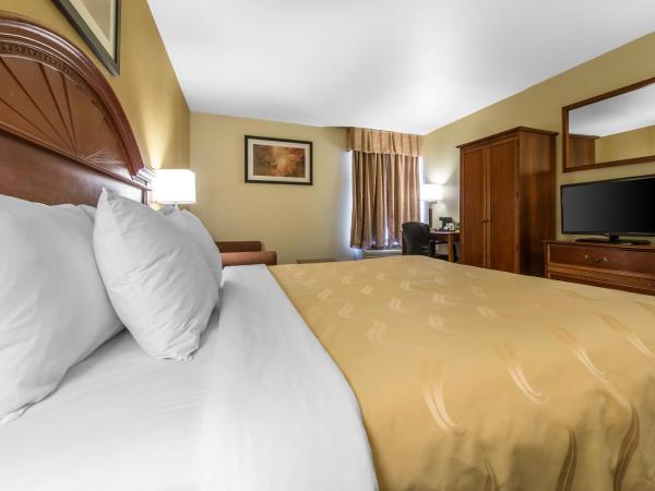 Quality Inn Colorado Springs South : photo 3 de la chambre chambre lit king-size avec canapé-lit - non-fumeurs