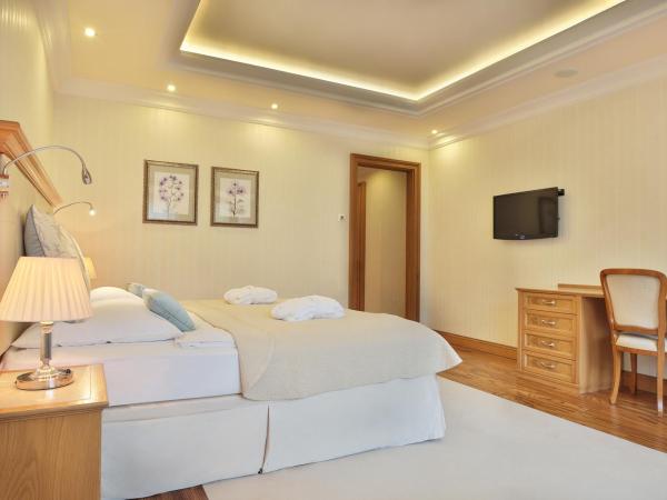 Retro Riverside Wellness Resort : photo 1 de la chambre chambre double supérieure