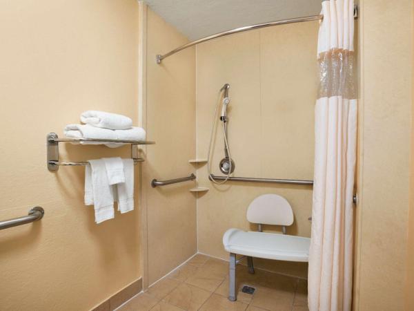 Days Inn by Wyndham Jacksonville Airport : photo 3 de la chambre chambre lit king-size avec douche accessible en fauteuil roulant - adaptée aux personnes à mobilité réduite/non-fumeurs