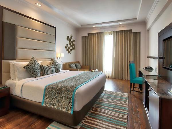Radisson Jaipur City Center : photo 6 de la chambre business double room: avail 10% discount on food (except dragon house) & soft beverages and laundry