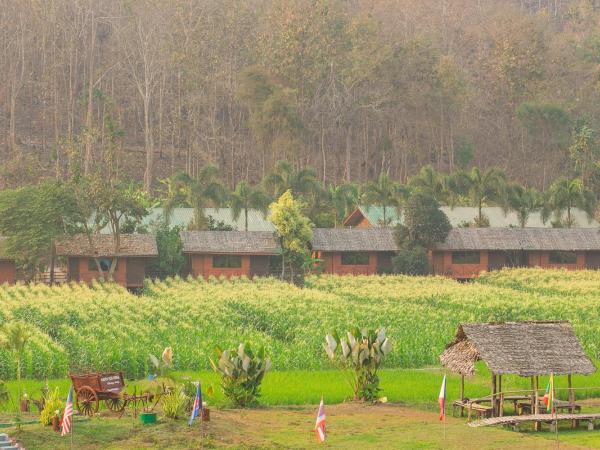 Karen Eco Lodge : photo 7 de la chambre chambre double ou lits jumeaux supérieure