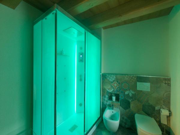 Chambres d'hôtes La Moraine Enchantée : photo 5 de la chambre chambre supérieure avec douche spa